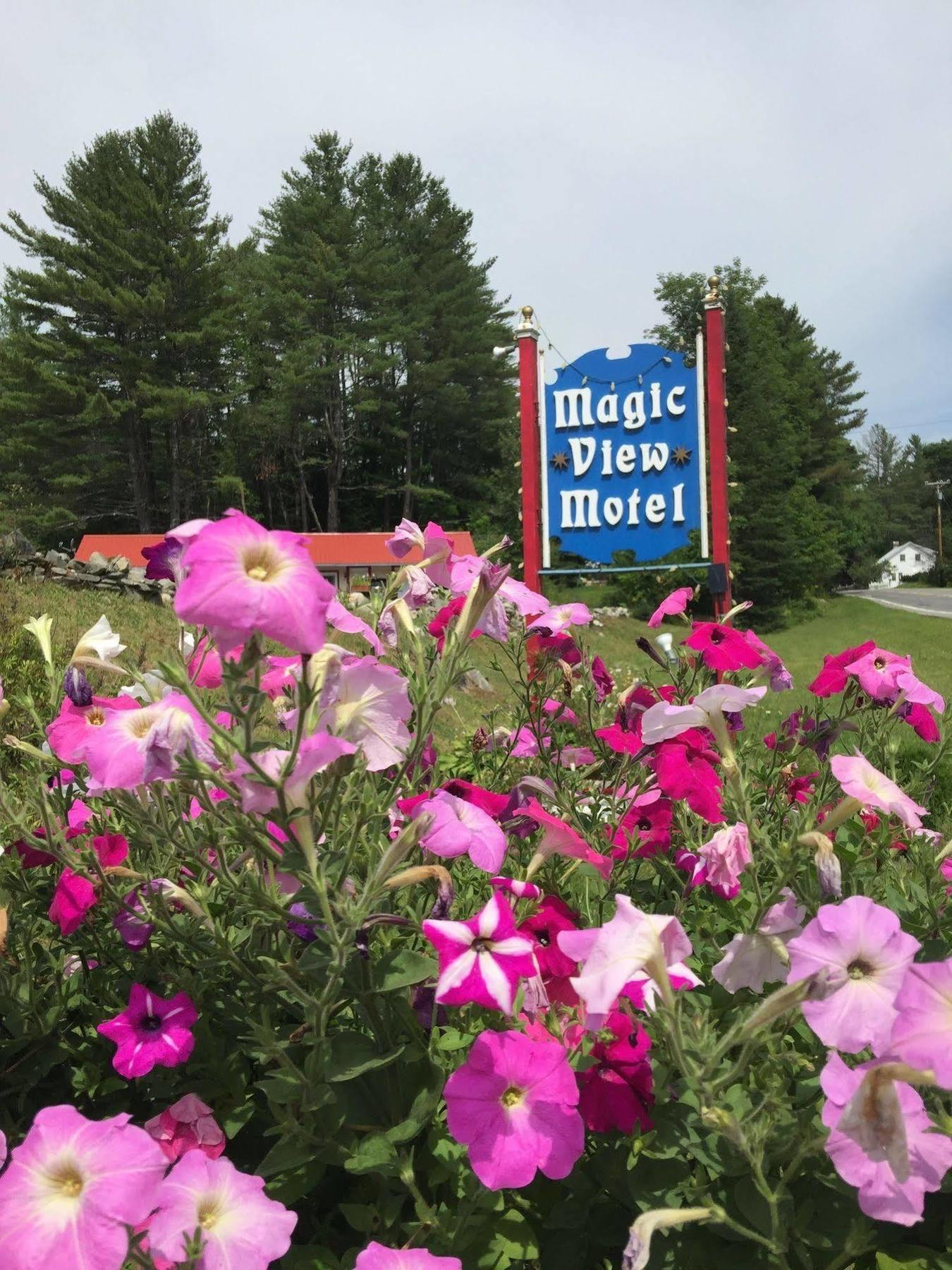 Magic View Motel Londonderry Exterior foto